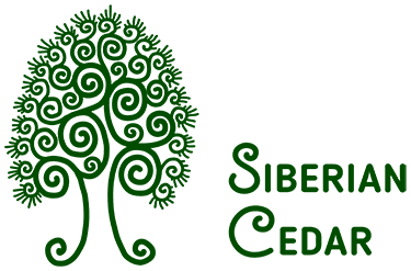 Siberian Cedar