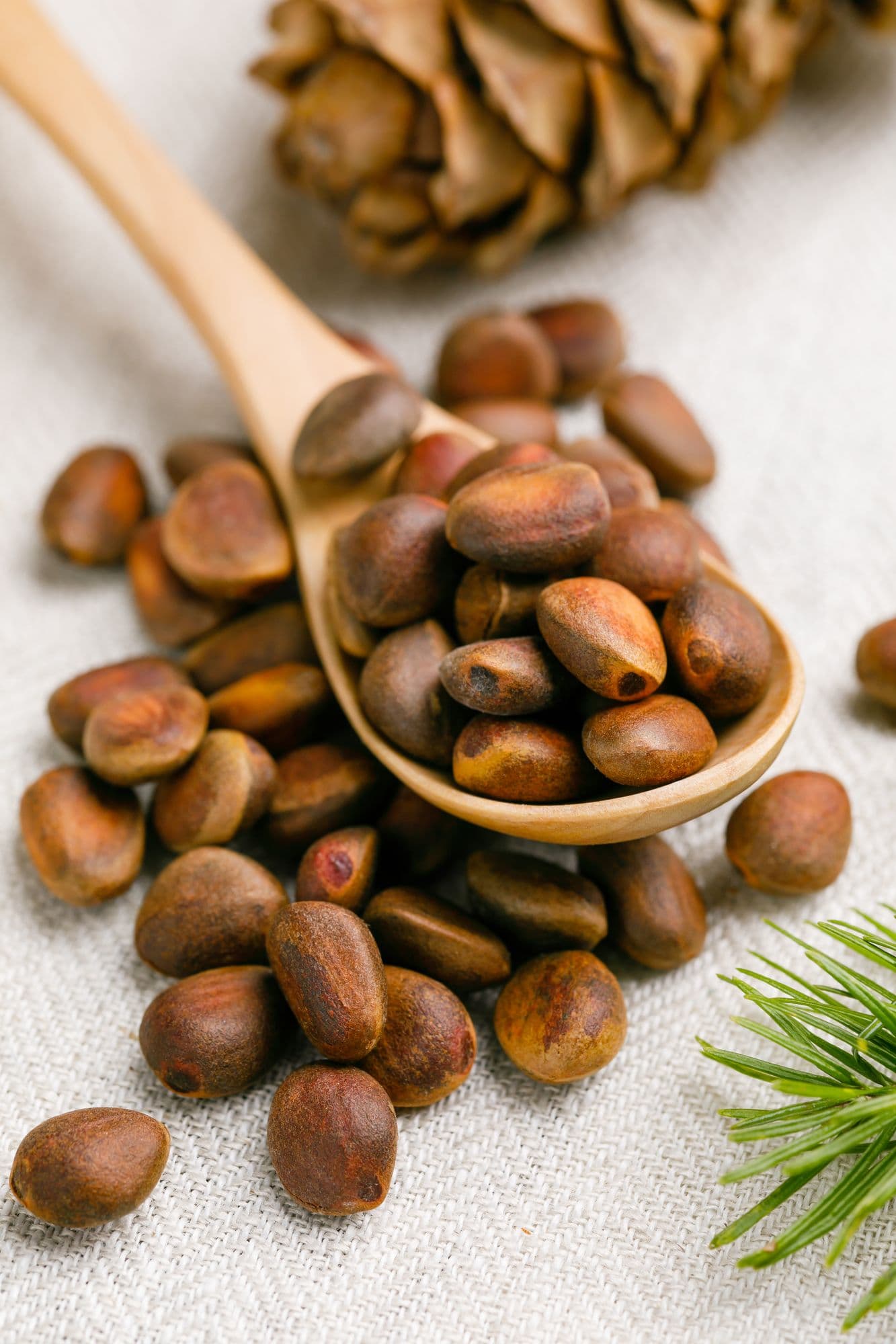 Vacuum-packed pine nut kernels on shelves